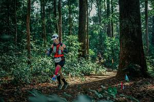 BIB: 
                            <button type="button" onclick="openModal(26133713)" class="btn btn-primary btn-sm float-right btn-popup" data-toggle="modal" data-target=".modal-high-quality">
                        <i class="fas fa-shopping-cart"></i> Add to Cart
                    </button>
                                            <button type="button" onclick="isThisMe(26133713, true)" class="btn btn-success btn-sm float-right btn-popup btn-isme hidden" data-toggle="tooltip" data-placement="bottom" title="นี่คือรูปของคุณใช่ไหม คลิกที่นี่เพื่อเอาเข้าอัลบั้ม">
                        <i class="fas fa-plus"></i> Add to album
                    </button>
                    <button type="button" onclick="isThisMe(26133713, false)" class="btn btn-warning btn-sm float-right btn-popup btn-isnotme hidden">
                        <i class="fas fa-ban"></i> Remove from album
                    </button>